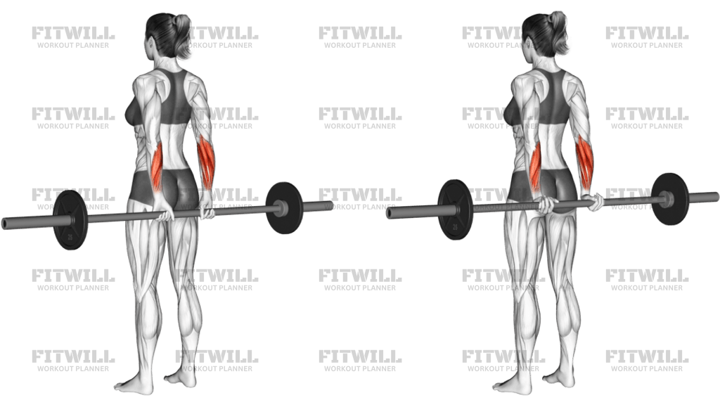 Barbell Standing Back Wrist Curl