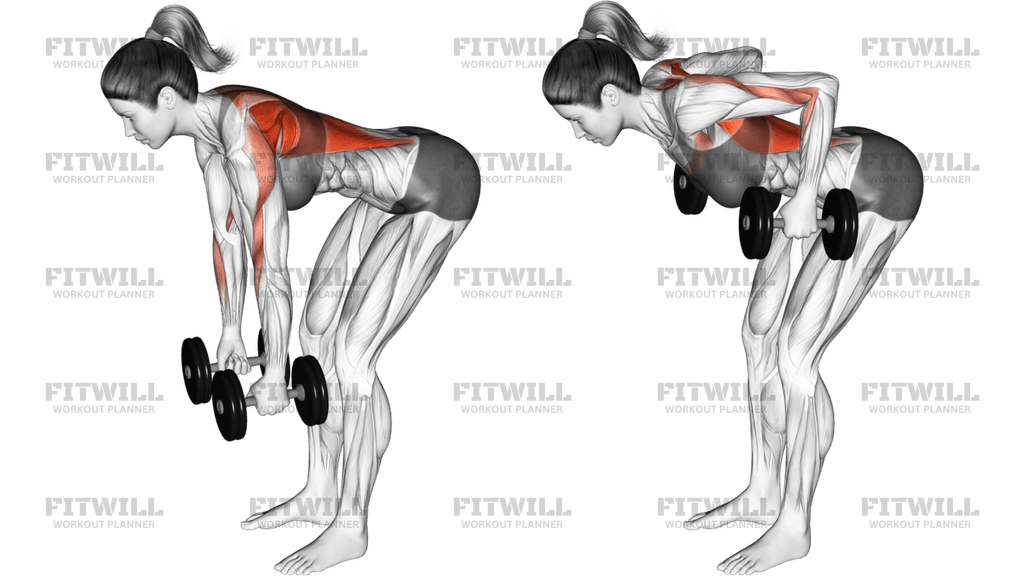 Dumbbell Bent Over Row