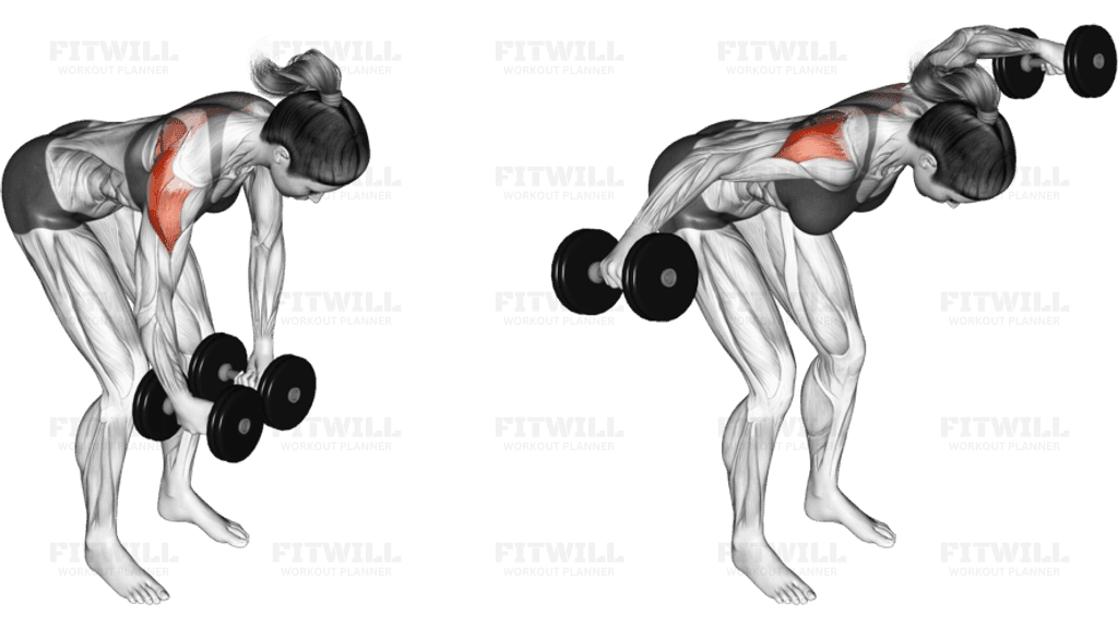 Dumbbell Rear Delt Fly