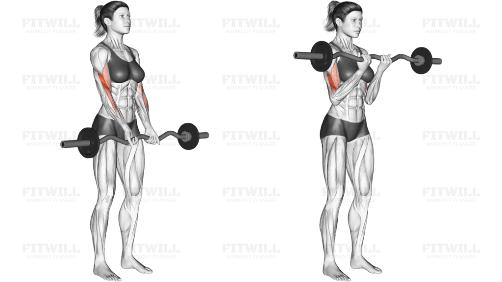 EZ Barbell Close grip Curl