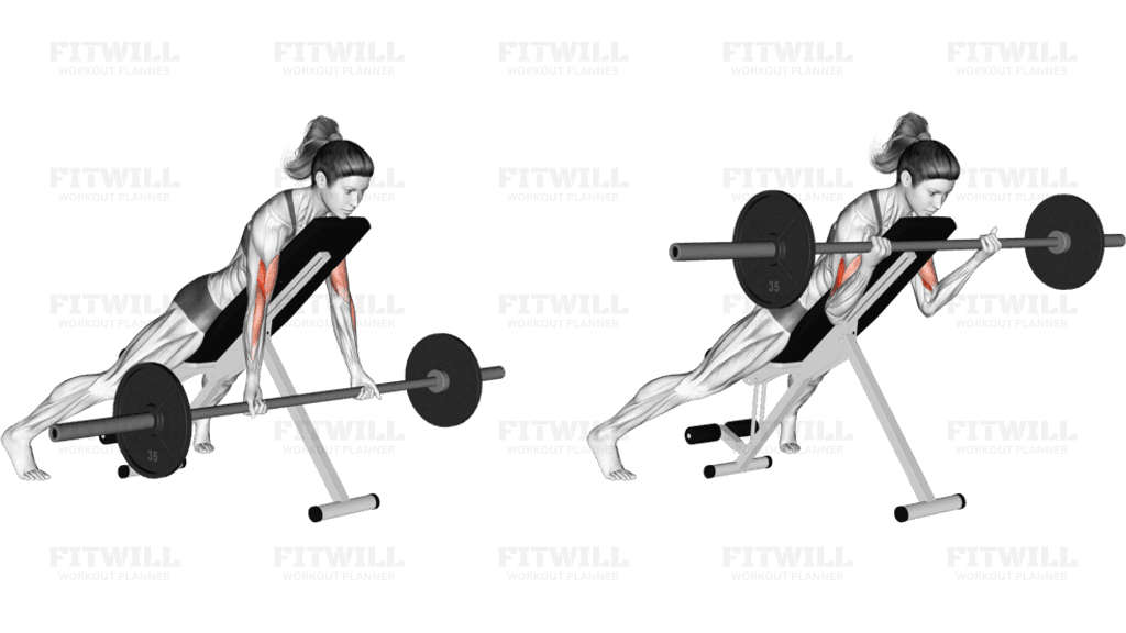 Barbell Prone Incline Curl