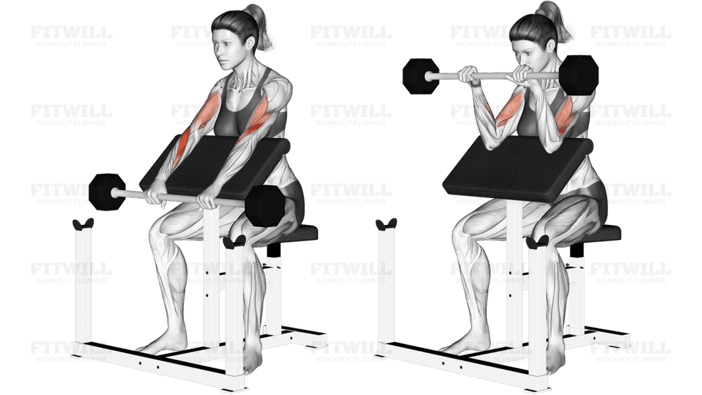 Barbell Reverse Preacher Curl _Forearm