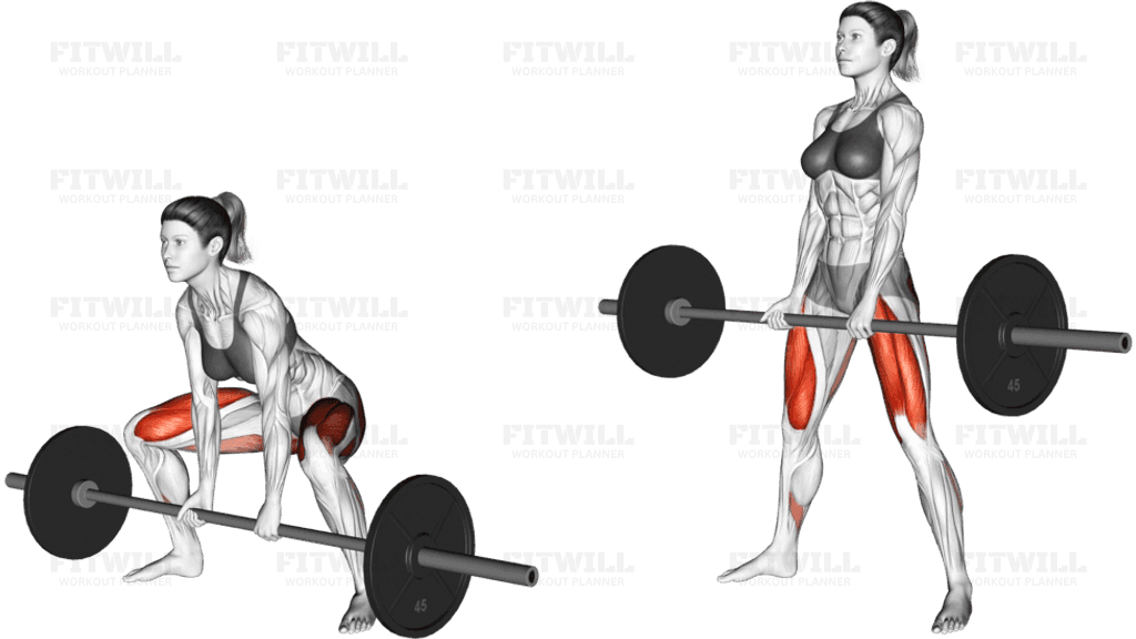 Barbell Sumo Deadlift