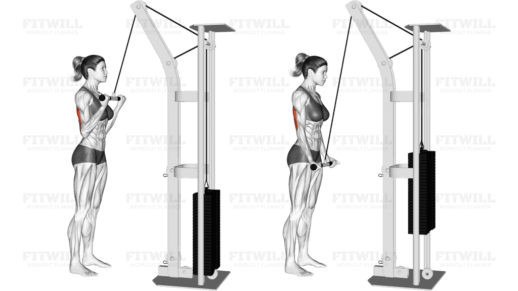 Cable Reverse grip Pushdown