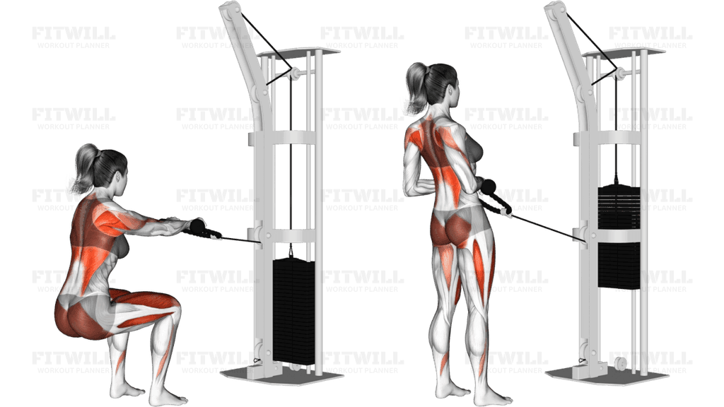 Cable Squat Row (with rope attachment)