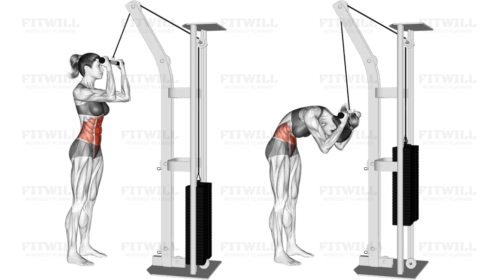 Cable Standing Crunch