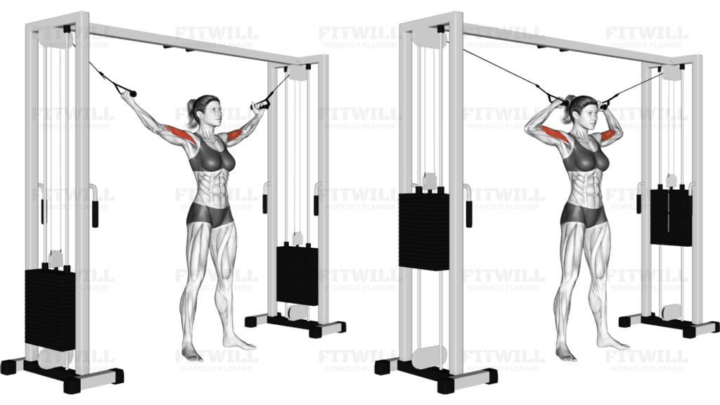 Cable Standing Inner Curl