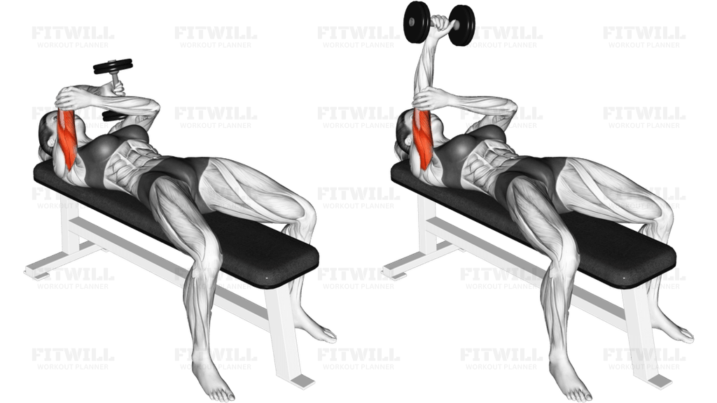 Dumbbell Lying One Arm Pronated Triceps Extension