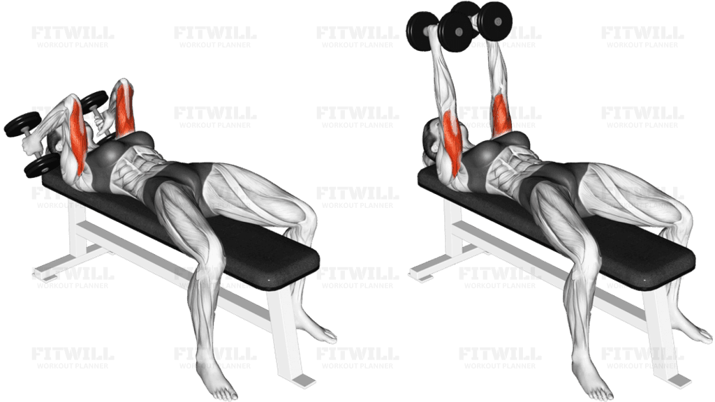 Dumbbell Lying Triceps Extension