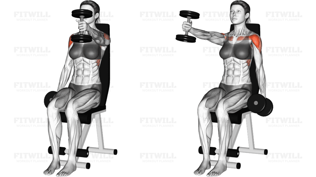 Dumbbell Seated Alternate Front Raise