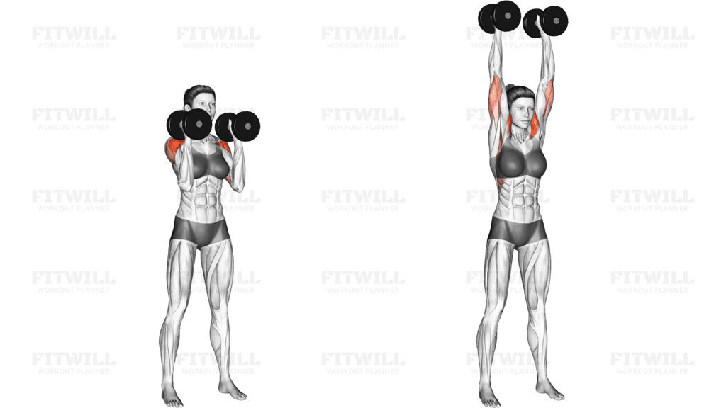 Dumbbell Standing Palms In Press