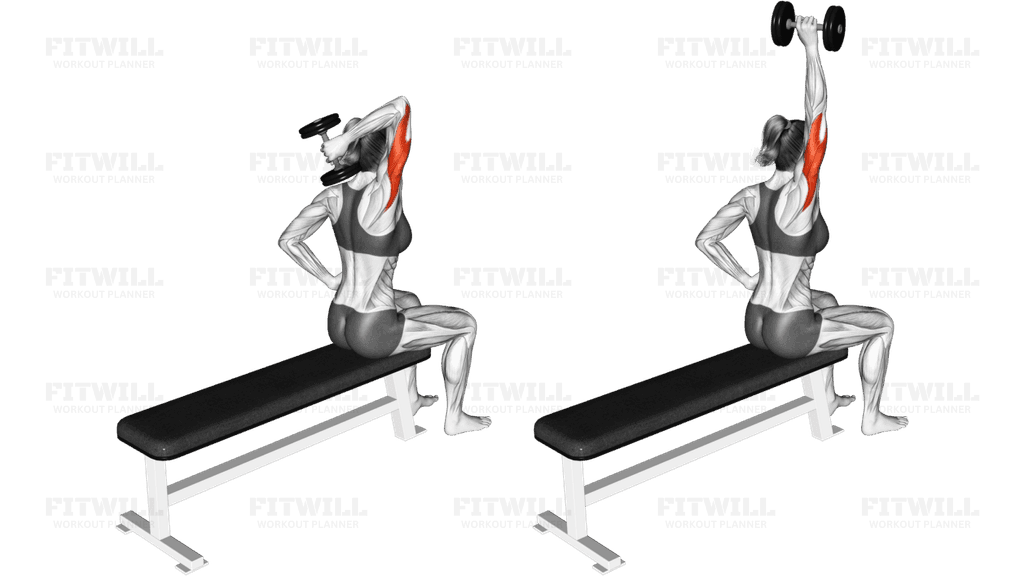 Dumbbell One Arm Triceps Extension (on bench)