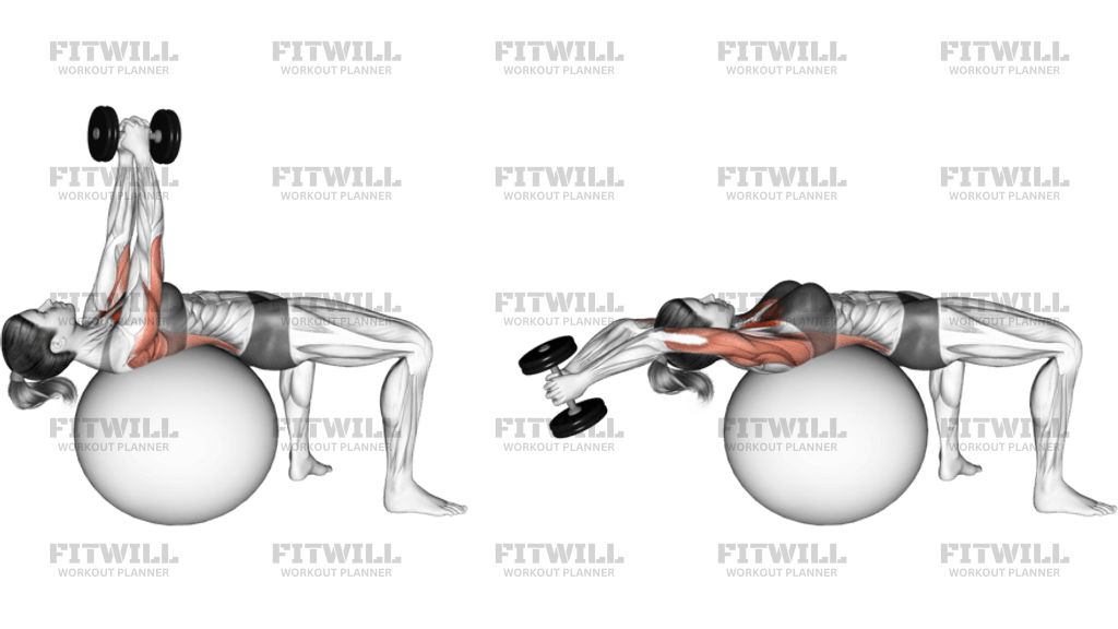 Dumbbell Pullover On Exercise Ball