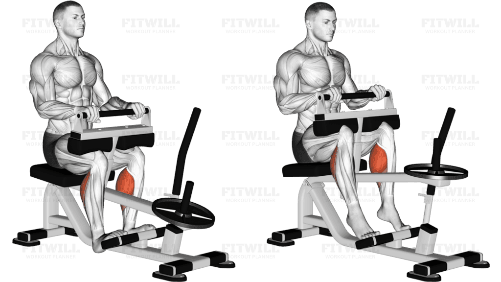 Lever Seated Calf Raise (plate loaded) (VERSION 2)