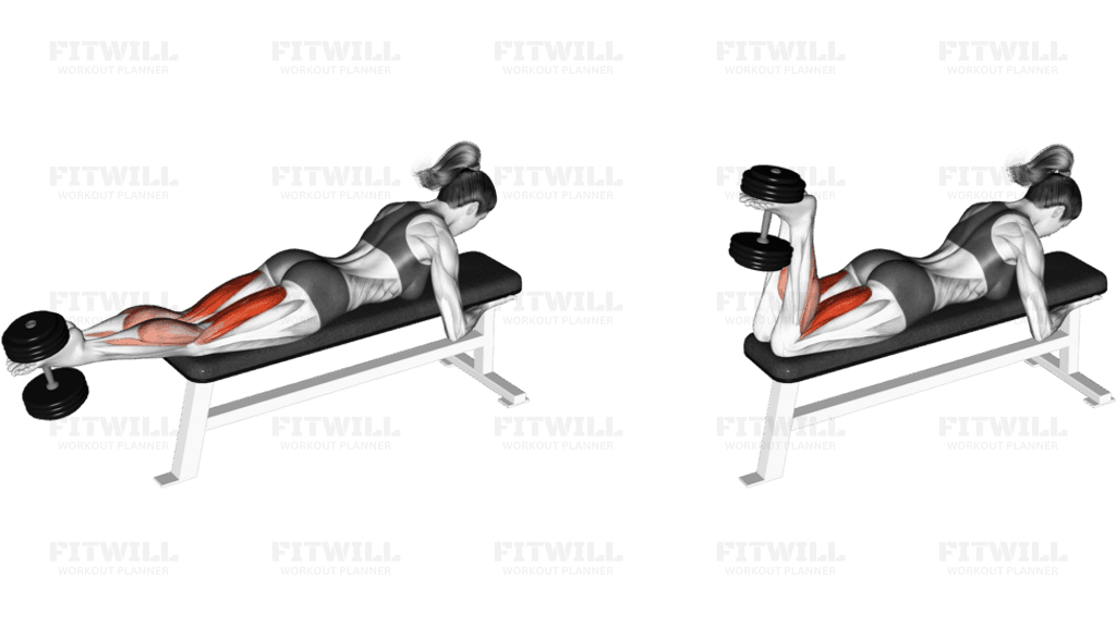 Dumbbell Lying Femoral