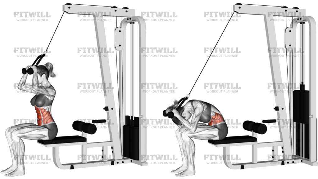 Cable Seated Crunch