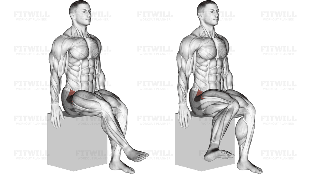 Hip - Medial Rotation (Internal Rotation) - Articulations