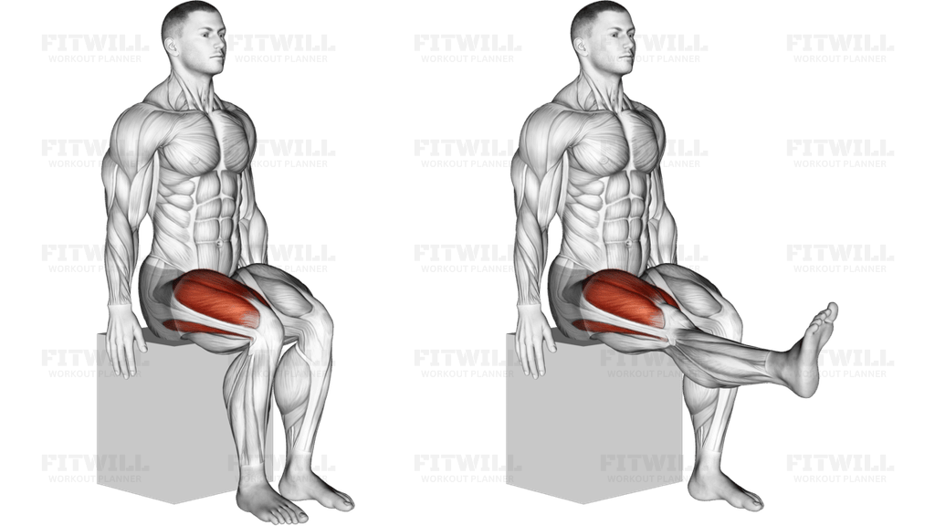 Knee - Extension - Articulations