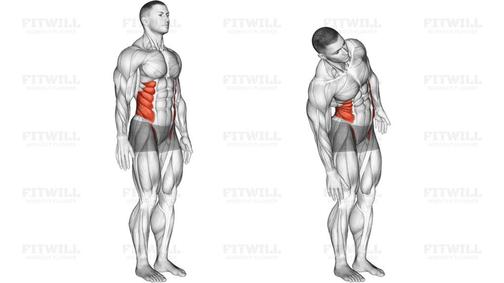 Spine (Lumbar) - Lateral Flexion - Articulations