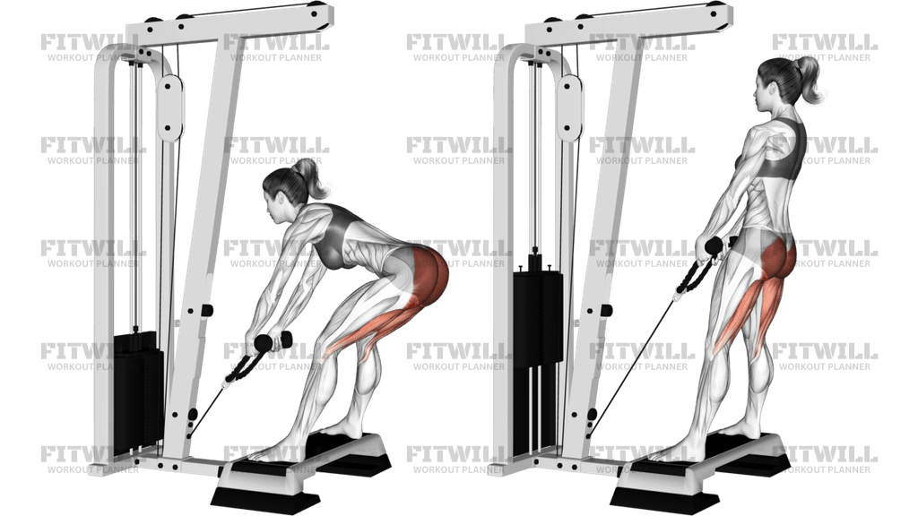 Cable Stiff Leg Deadlift From Stepbox