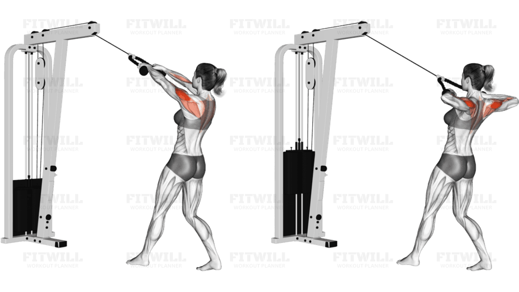 Cable Standing Rear Delt Row (with rope)