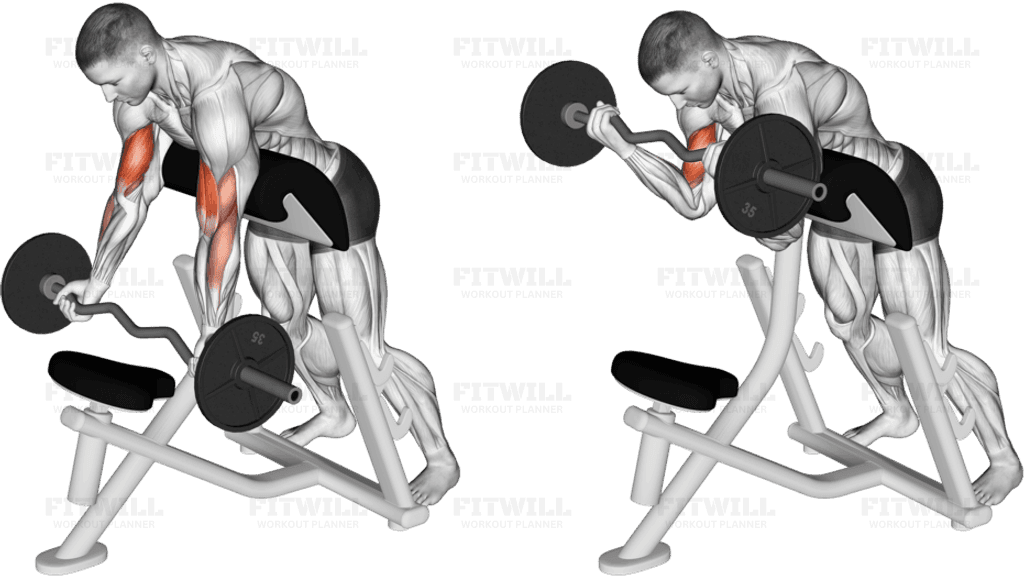 EZ-Barbell Standing Preacher Curl