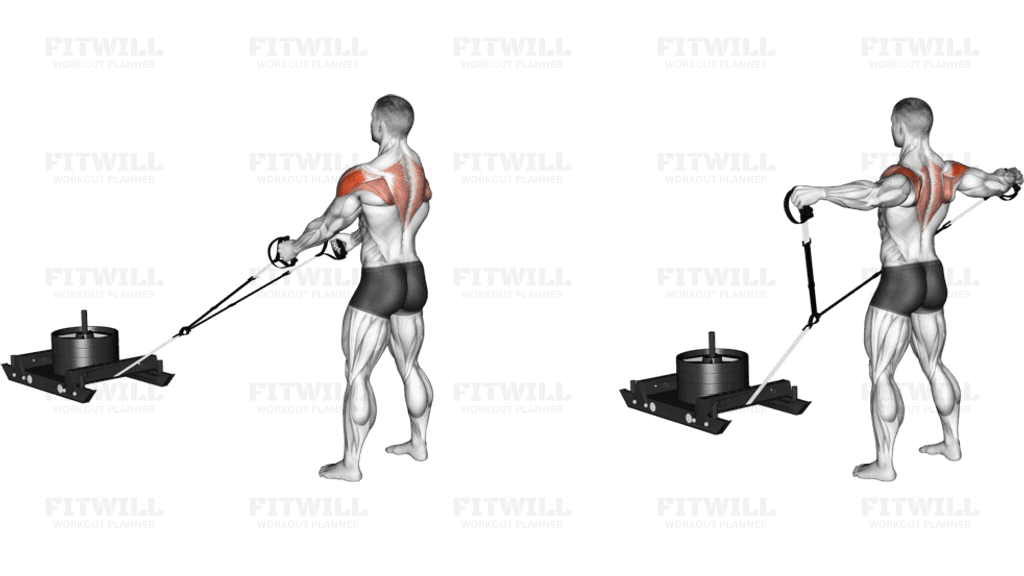 Power Sled Rear Fly