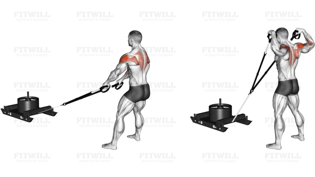 Power Sled High Pull