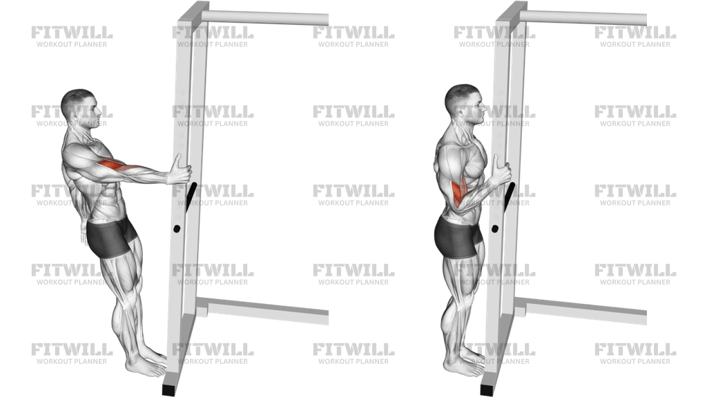 Bodyweight Standing Biceps Curl