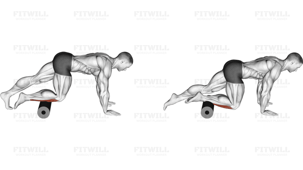 Roll Anterior Calf Foam Rolling