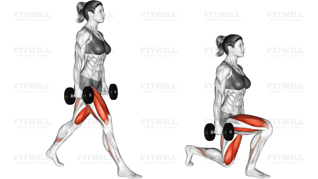 Dumbbell Split Squat