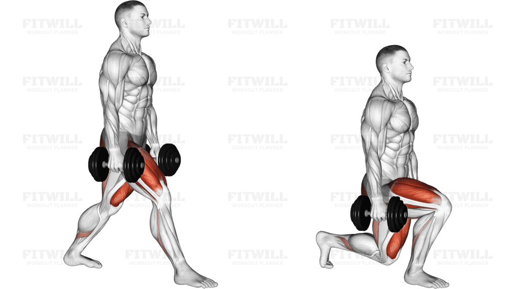 Dumbbell Split Squat