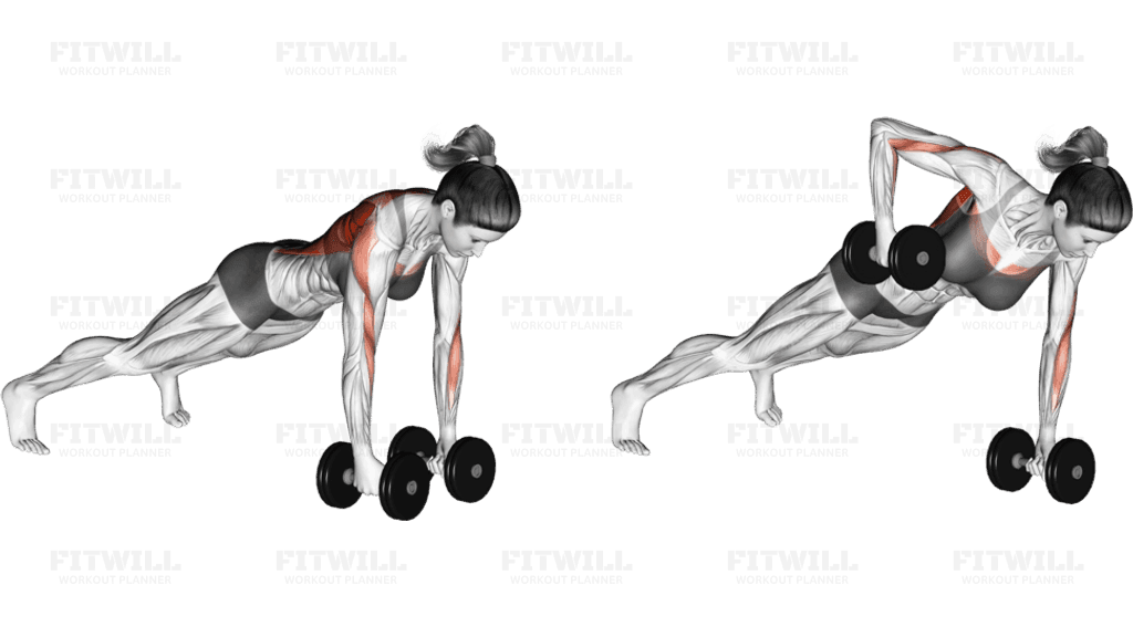 Dumbbell Renegade Row