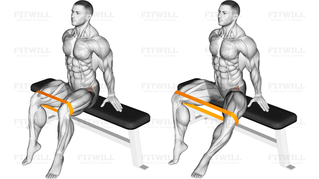 Resistance Band Seated Hip Abduction