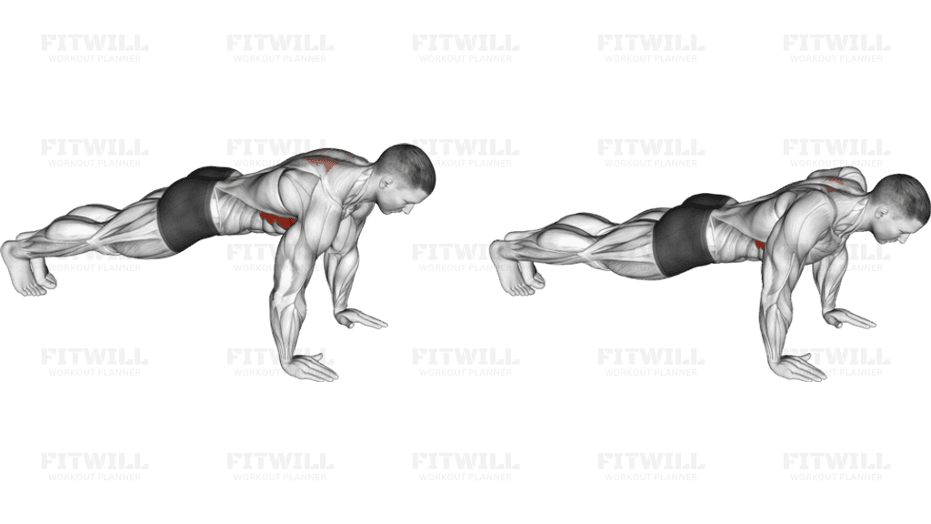 Scapula Push-up