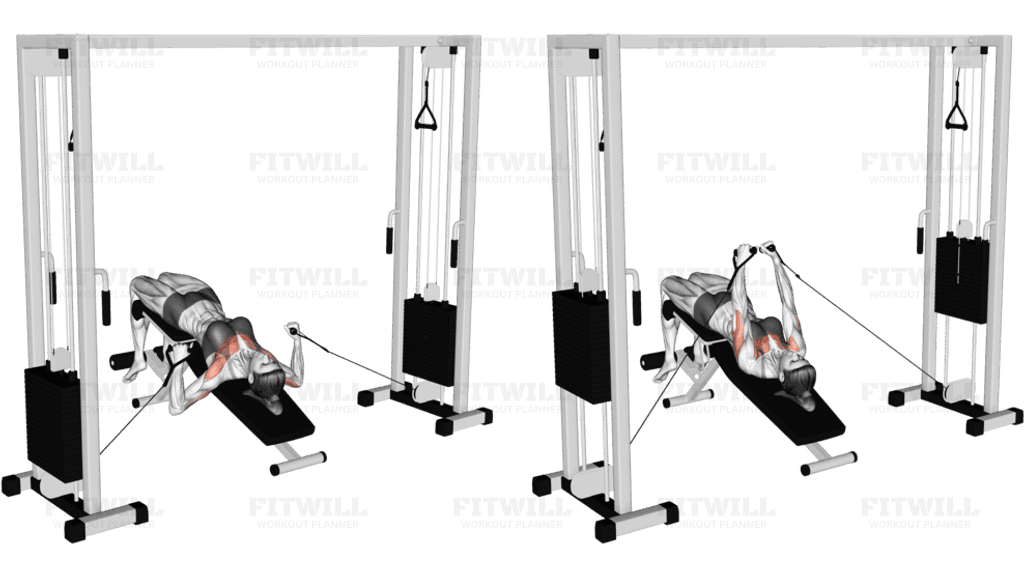 Cable Decline Press