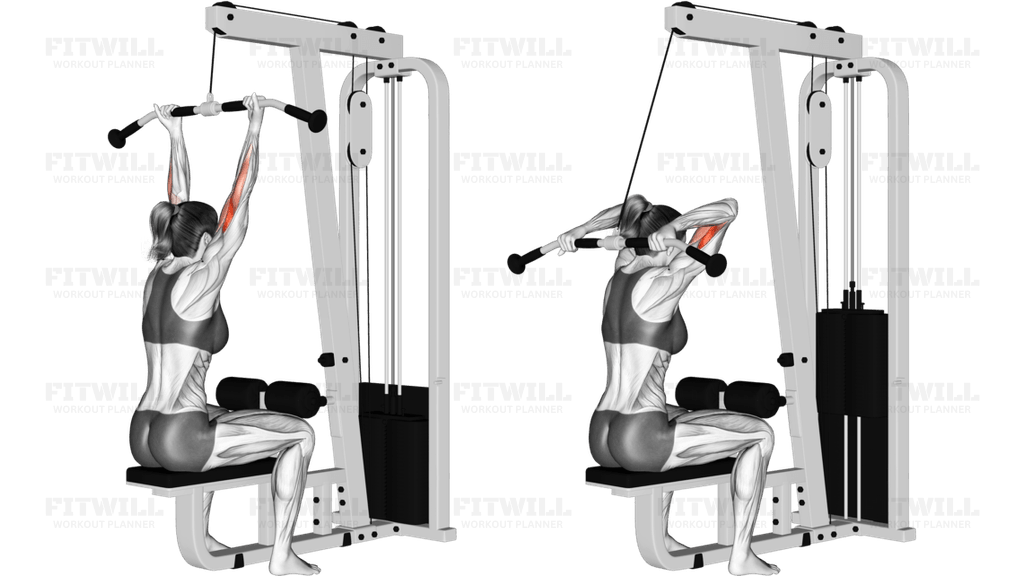 Cable Pulldown Bicep Curl
