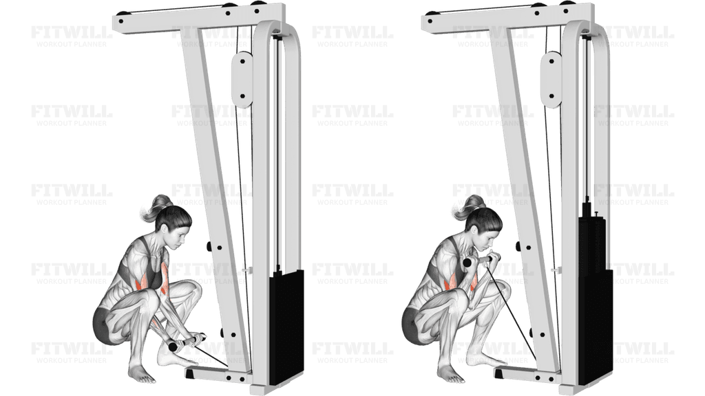 Cable Squatting Curl