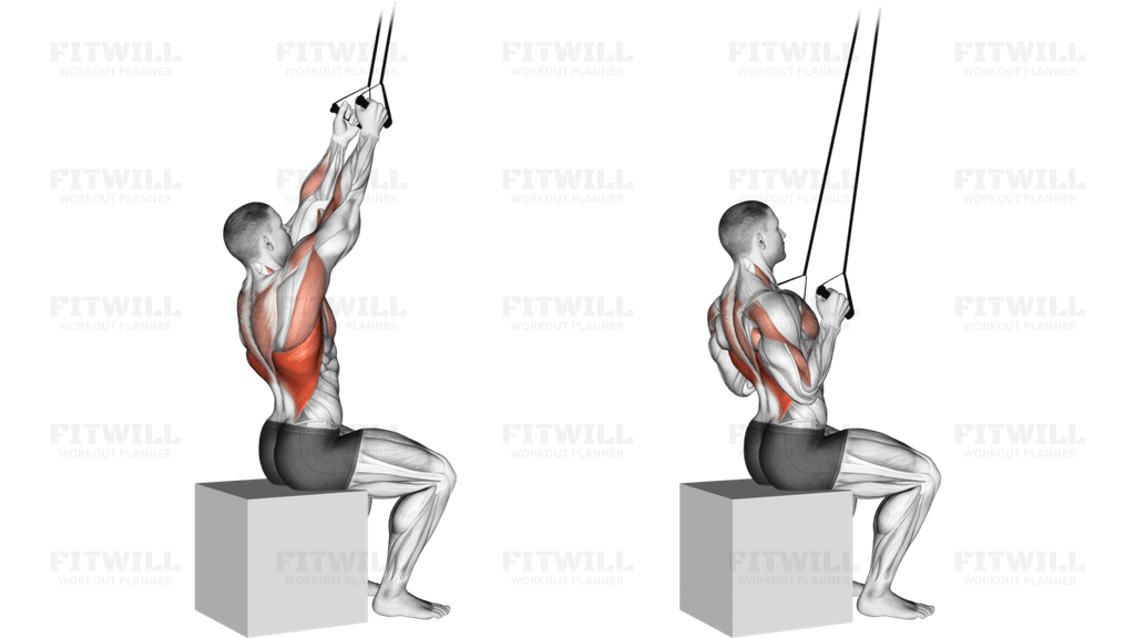 Band Fixed Back Close Grip Pulldown