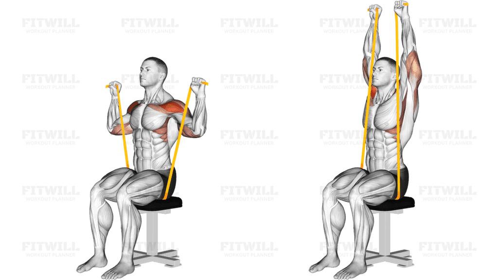 Resistance Band Seated Shoulder Press