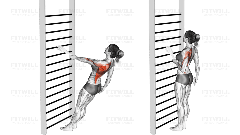 Bodyweight Standing One Arm Row (with towel)