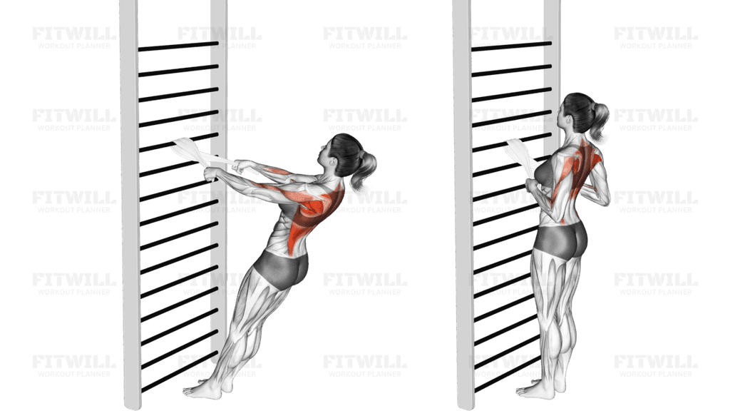 Bodyweight Standing Row (with towel)