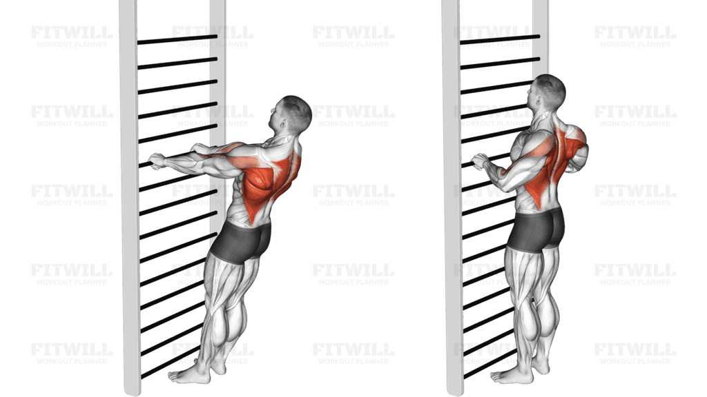 Bodyweight Standing Row