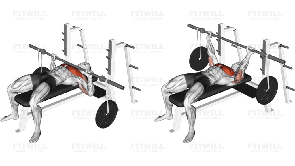 Barbell Bench Press (with hanging band technique)