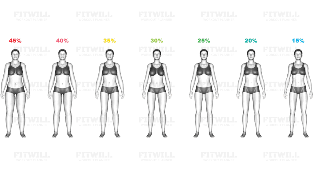 Body Fat Percentage