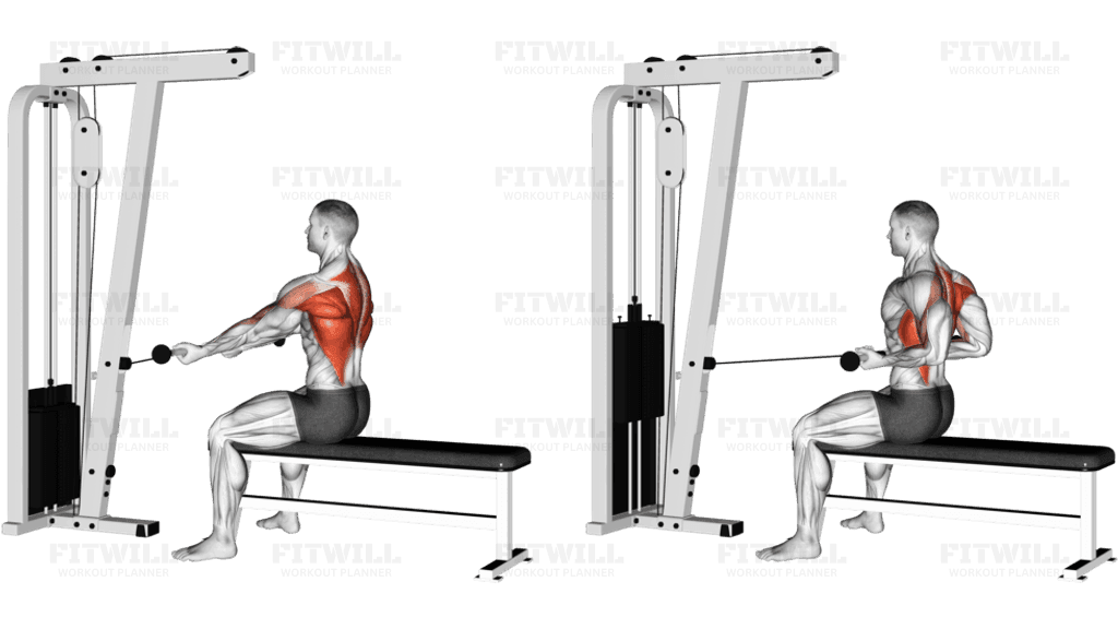 Cable Seated Supine-grip Row