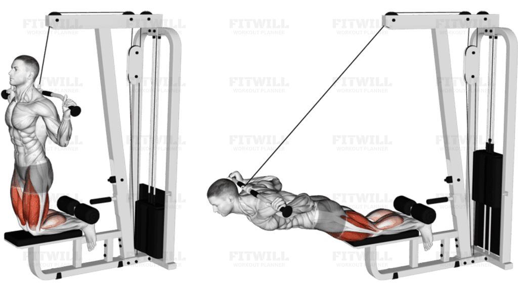 Cable Assisted Inverse Leg Curl