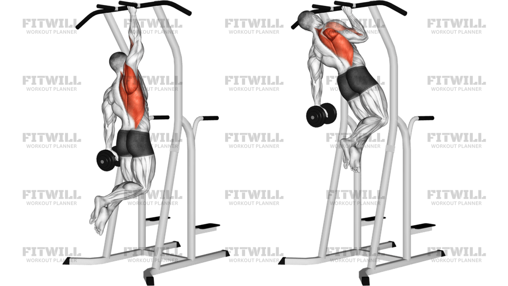 Weighted One Hand Pull Up