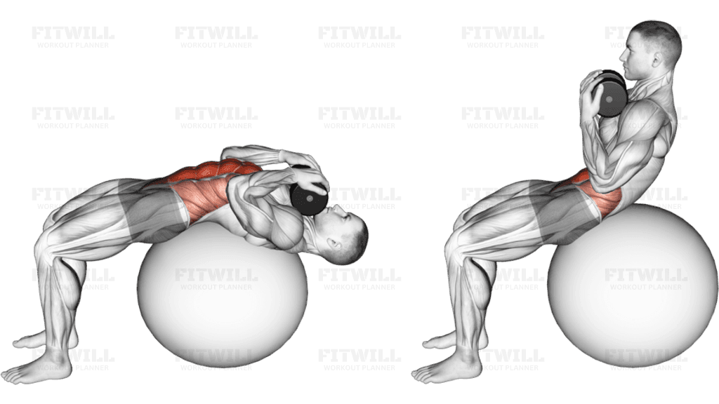 Weighted Stability Ball Crunch (Full range)