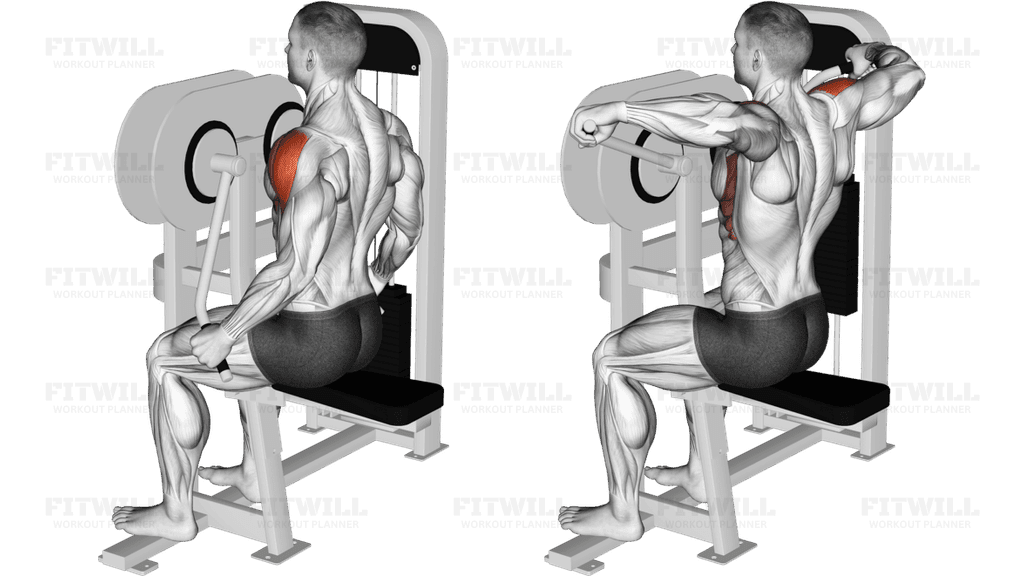 Lever Lateral Raise (VERSION 2)